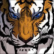 tiger-brother-barkhan.jpg